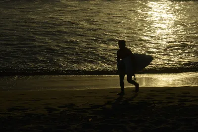 DSC_7262 (Large).JPG